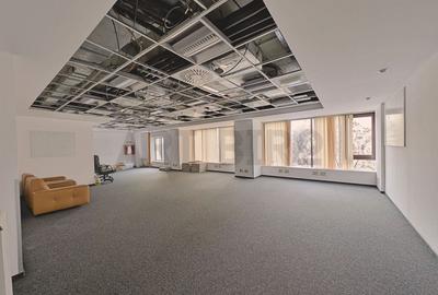 Zero comision, 310mp birou ultracentral, Universitate, 2' metrou - 13