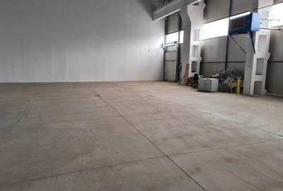 Spațiu industrial, 520 mp în Aeroport