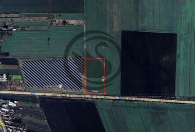 Teren extravilan de vanzare | 9882mp | Berceni - Prahova | Comision 0% - 1