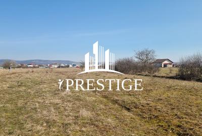 TEREN DE VÂNZARE 1000 MP ȘELIMBĂR ZONA TROIȚĂ | INVESTIȚIE - 1
