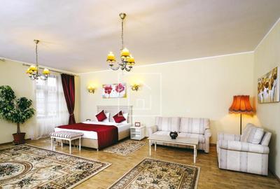 Hotel de inchiriat Piata Mica Sibiu | Afacere turistica activa - 16