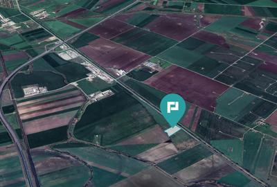 Teren 22.500 mp – Pecica, jud. Arad - 12