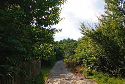 Casa de vanzare cu teren 3100 mp in Breaza de Jos, Prahova - 28