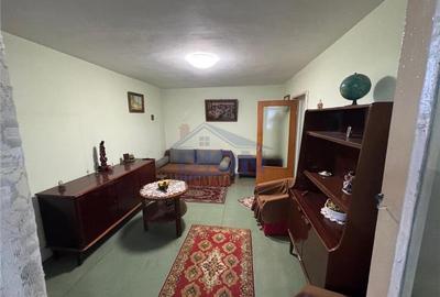 APARTAMENT 2 CAM, DRISTOR BABA NOVAC - 9
