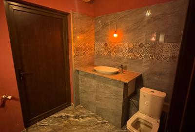 Spatiu Comercial de inchiriat, etaj 1 & 2, Bd.Camil Ressu nr. 41,Pret Negociabil - 11