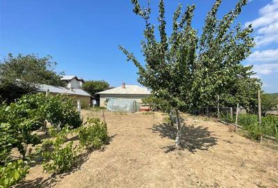 Casa  de vanzare zona Alexandru cel Bun-Tulcea - 2