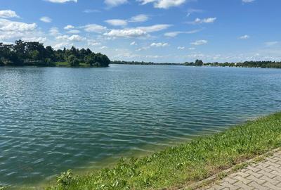 Buftea, Palatul Stirbey, teren intravilan, 2186 mp, vedere catre lac, - 4