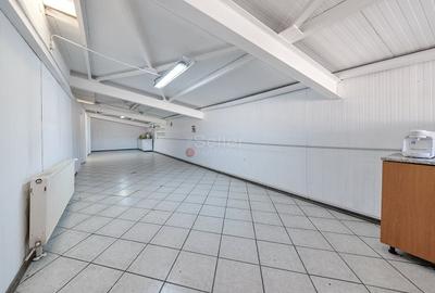Platformă industrială cu 2 hale și sediu administrativ – teren 3.871 m - 29
