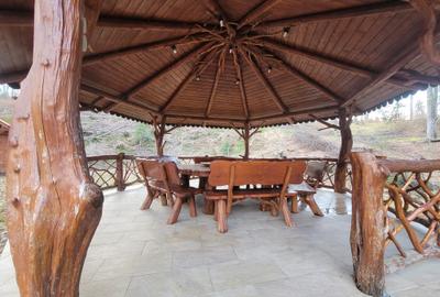 Cabana de vanzare ,Valea Avrigului/ 3000 mp/Langa padure - 24