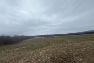 Caransebes, Teren Extravilan, Zlagnei - 2