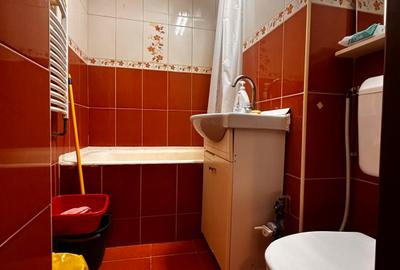 Apartament 2 camere decomandat, mobilat și utilat - Zona Piața Reșița - 15