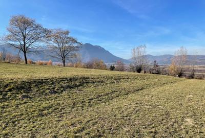 Teren intravilan loturi intre 500 si 1000 m la 14 km de Rasnov - 14