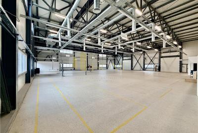 Hala industriala premium cu birouri | Parc Industrial Vest | Acces TIR - 1