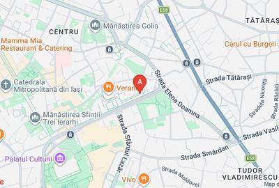 Închiriere Spațiu Comercial Premium central 240mp-Bd. A. Panu, Direct proprietar - 16