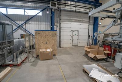 Spatiu productie sau depozit, Parcul Tetarom - 4