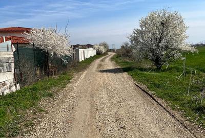 De vanzare lot teren intravilan Dumitrana Magurele - 6