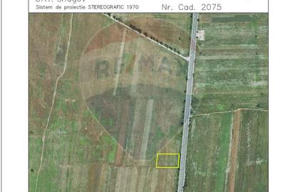 Teren 4,000mp DN1, Dubla Deschidere 50M - 3