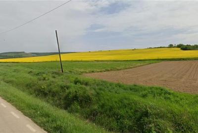 Teren agricol 64 ha, 800 m deschidere - 3