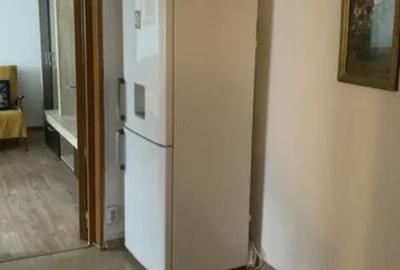2 Camere Teiul Doamnei Ion Berindei - 4