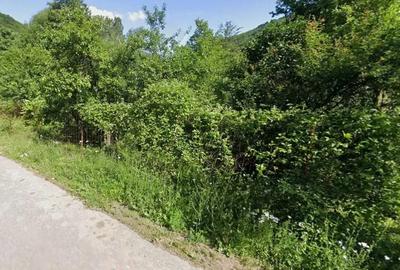 Vand teren intravilan 1264 mp. in Pecinisca, Baile Herculane - 1