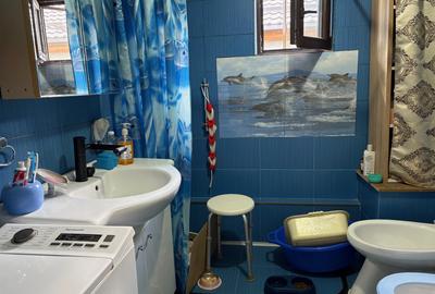 135000euro!!! Valea Lupului! Casa single cu 4 camere,2 bai,garaj!!! - 6