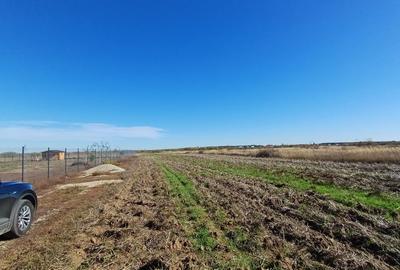 Corbeanca | Teren 800mp | Utilitati la 50m | Deschidere 32mp - 4