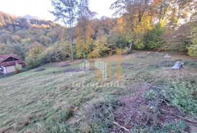 Teren intravilan Brasov Strada Ciresului 2900 mp - 8