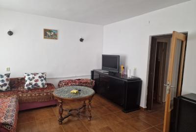 Vila P+E si teren intravilan 1,5Ha,cu zavoi+iaz,lac peste si livada-investitie - 14