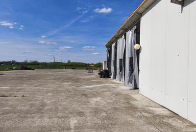 Casa cu 4 camere cu teren de 14,340 mp + platforma de beton cu hala - 9