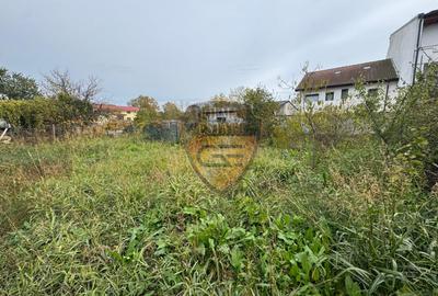 Casă 5 camere, PALAZU MARE,  204 mp cu teren 904 mp - 4