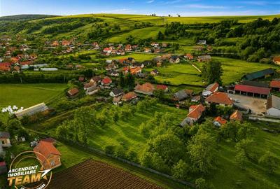 FILM! Oaza ta de liniste pe 0.5ha teren intravilan, Dalnic, Covasna - 15