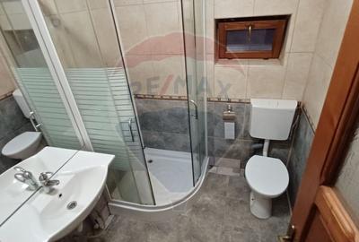 DE INCHIRIAT: Casă / Vilă P+1 - Zona Centrala BAIA MARE - 17