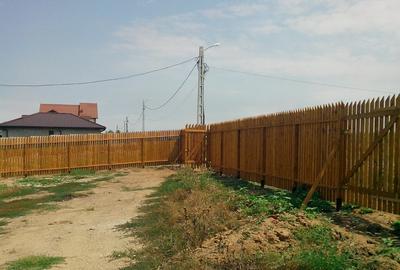 Peisaj de vis pe malul lacului Pasarea Branesti 10 min Bucuresti vand sau schimb - 3