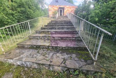 Vila de vanzare cu 6 camere in Cornu (teren 6.600 mp) - 40