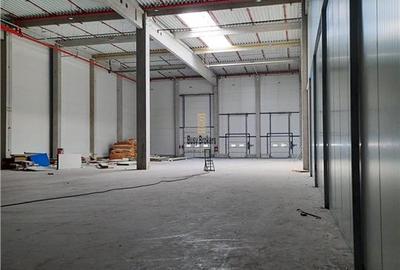 Spatiu Industrial - 5500 mp - Logistica - Productie - Depozitare - Distributie - 12