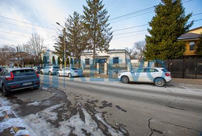 Spațiu comercial de închiriat, Ioniță S. Sturza, Bacău - 29