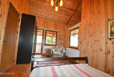 Campulung - Leresti, casa de munte, teren 5503 mp! - 29