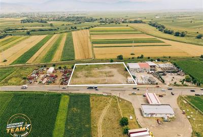 Teren Construcții intravilan de 7000 mp, în Chichiș