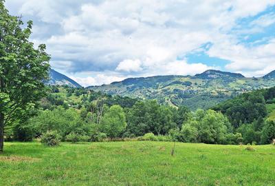 Teren de 1000mp in Bran, satul pitoresc Pestera - 10