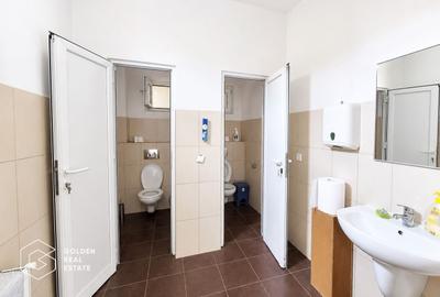 Hala Industriala Premium, Zona de Sud, Timisoara - 9