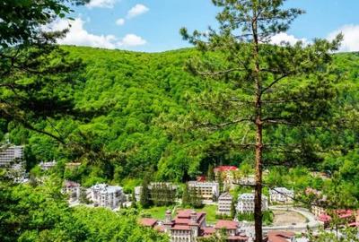 Teren Construcții intravilan de 893 mp, în Est