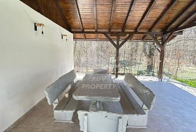 Pensiune/ Vila Valea Avrigului - 24