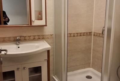 Inchiriere apartament 3 camere Piata Alba Iulia - 7