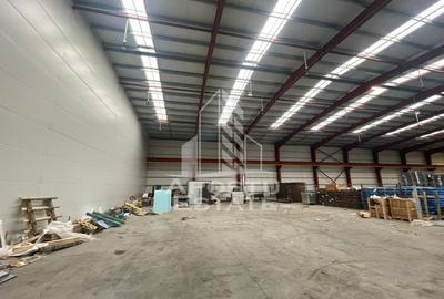 Hala 600 mp constructie noua, de inchiriat,  Sacalaz - 5