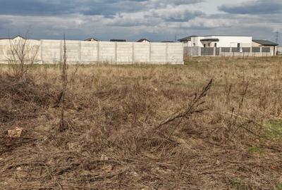 Comuna Berceni-Ciresilor-teren dezvoltare imobiliara - 9