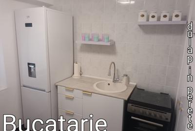 Apartament cu 3 camere decomandat, mobilat în Calea Aradului