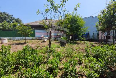 CASA  POIANA | PANOURI SOLARE | TEREN 800 MP - 9