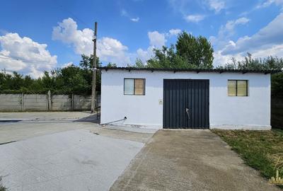 Proprietate industriala renovata | 2 hale de vanzare in zona Seleus - 9