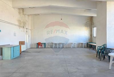 De vanzare spatiu industrial in Turnu Magurele - Teleorman - 23