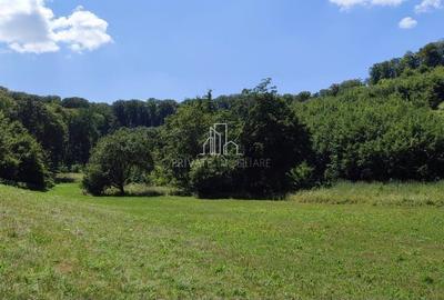 Teren de vanzare, 20.000Mp , Comuna Danes, drumul Crisului - 1